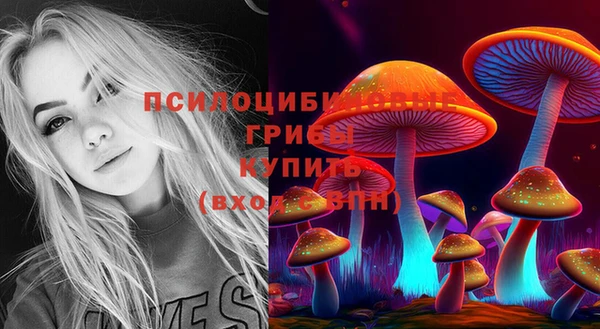 прущая мука Коряжма