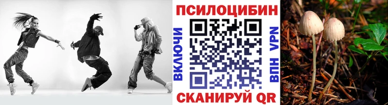 дарнет шоп  Новая Ладога  Псилоцибиновые грибы мухоморы 