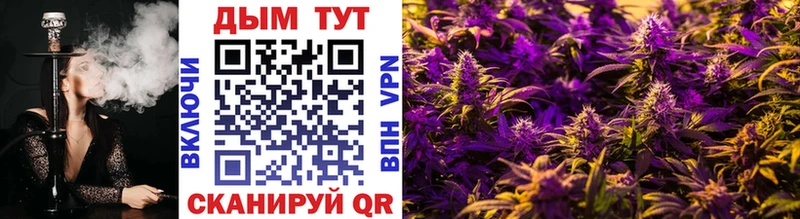 Бошки Шишки планчик  Новая Ладога 